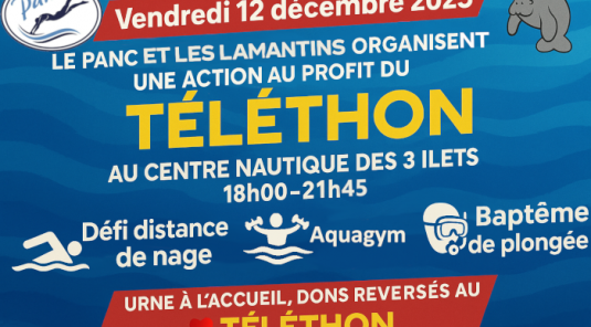 Compte rendu de la soirée Téléthon
